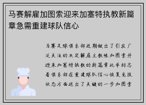 马赛解雇加图索迎来加塞特执教新篇章急需重建球队信心