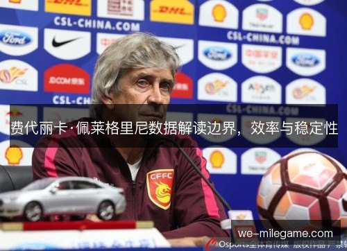 费代丽卡·佩莱格里尼数据解读边界，效率与稳定性